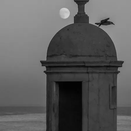 アパート Zimbra Blue *