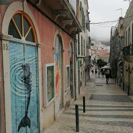 Zimbra Blue セシンブラ