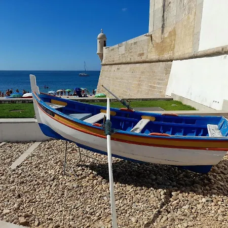 Zimbra Blue セシンブラ