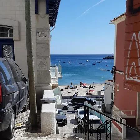 Appartement Zimbra Blue