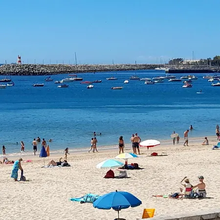 Appartement Zimbra Blue