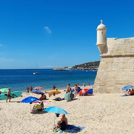 Zimbra Blue Sesimbra