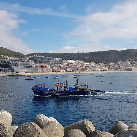 Zimbra Blue Apartment *