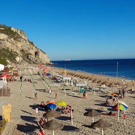 Zimbra Blue Apartment *