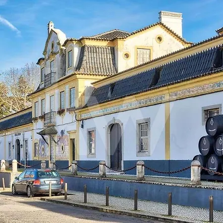 Zimbra Blue * Sesimbra