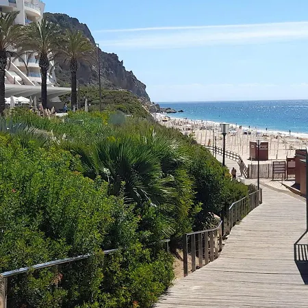 Appartement Zimbra Blue