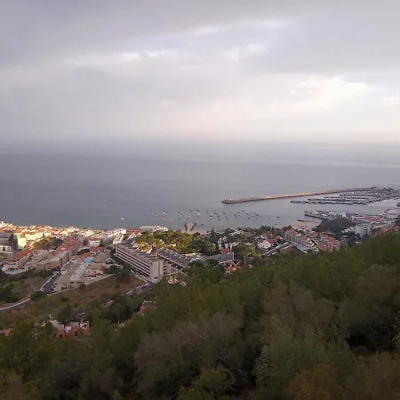 Appartement Zimbra Blue