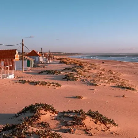 Apartment Zimbra Blue