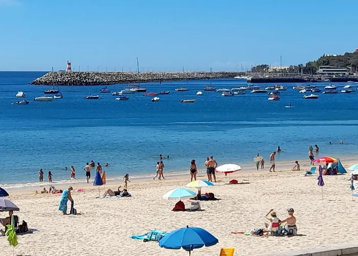 Διαμέρισμα Zimbra Blue