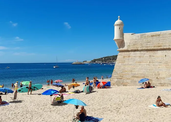 Zimbra Blue Σεσίμπρα