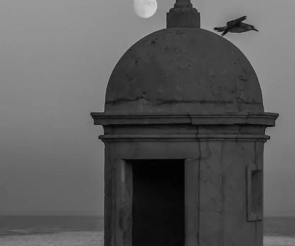 Διαμέρισμα Zimbra Blue *