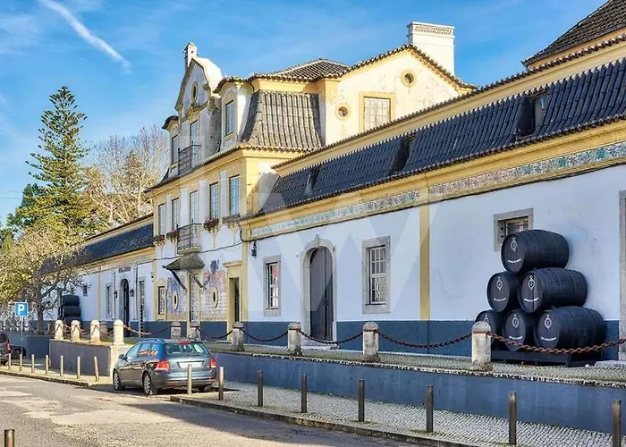 Zimbra Blue * Σεσίμπρα