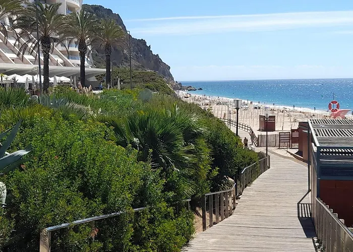 Διαμέρισμα Zimbra Blue