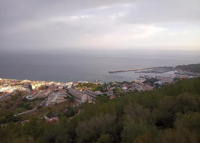 Διαμέρισμα Zimbra Blue